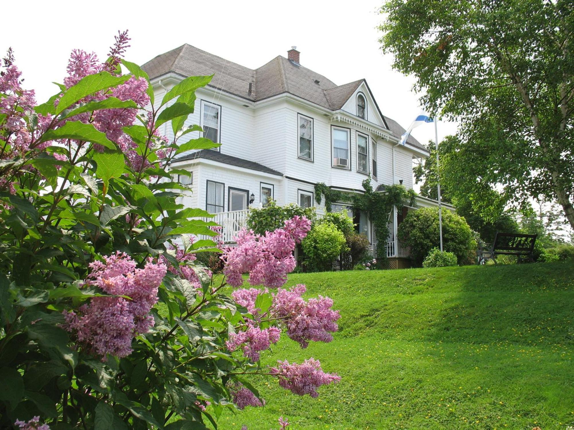 Stewiacke The Nelson House Bed And Breakfast מראה חיצוני תמונה